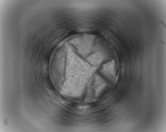 X0000099510653200806051148