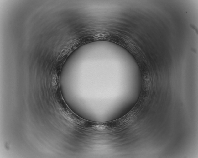 X0000099510654200806051148