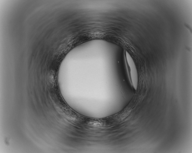 X0000099510655200806051148