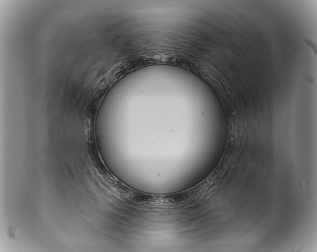 X0000099510656200806051148