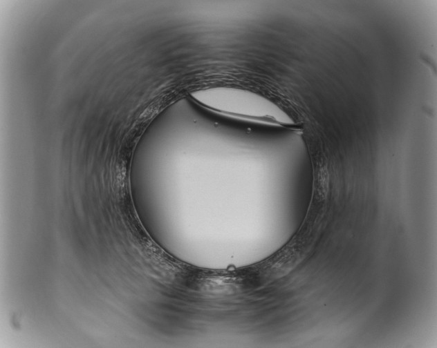 X0000099510657200806051148