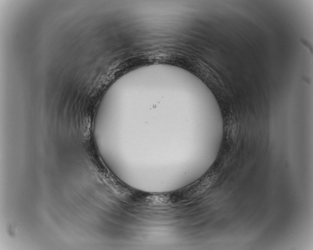 X0000099510660200806051148