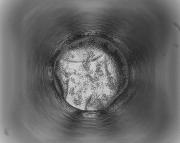 X0000099510661200806051148