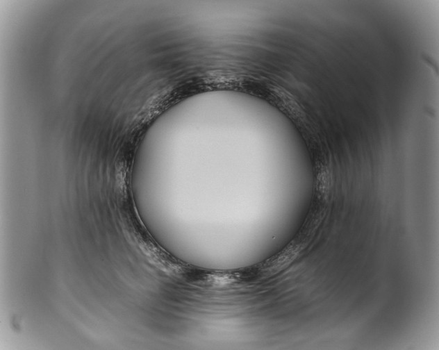 X0000099510662200806051148