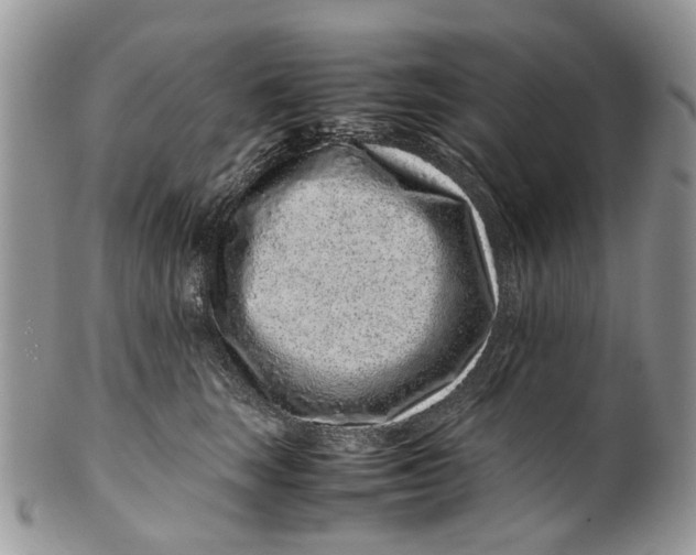 X0000099510663200806051148