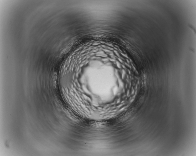 X0000099510664200806051148