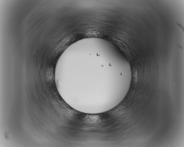 X0000099510665200806051148