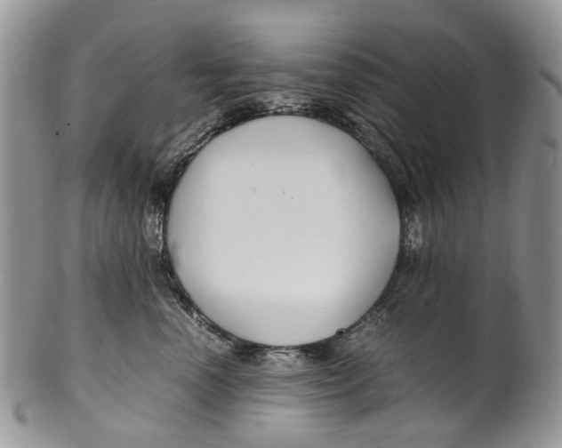 X0000099510666200806051148