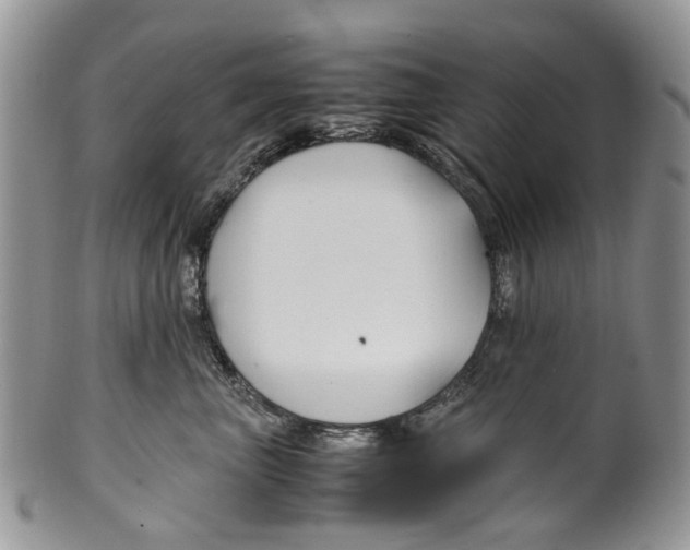 X0000099510667200806051148