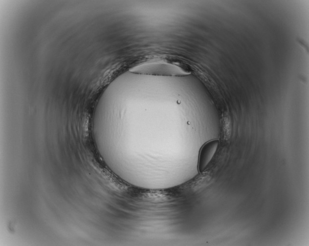 X0000099510668200806051148