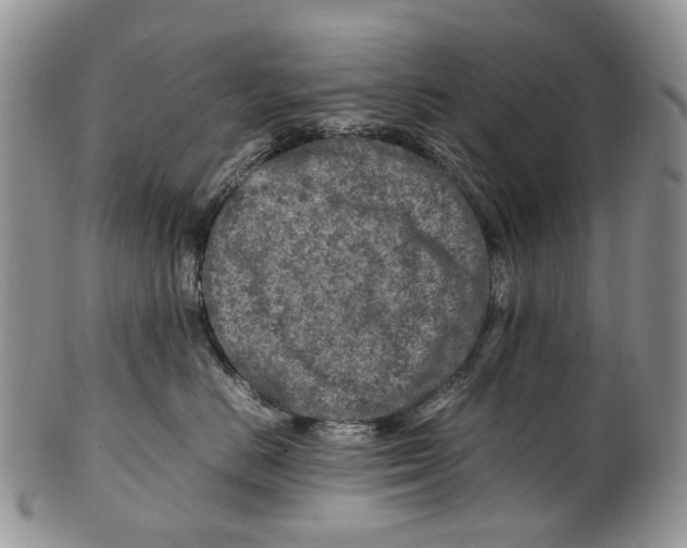 X0000099510670200806051148