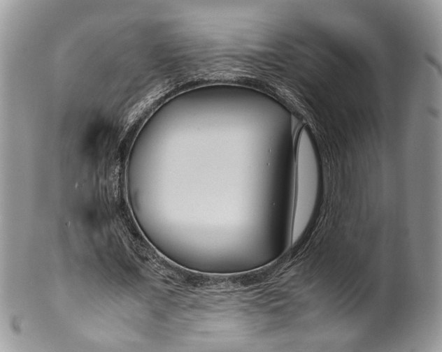 X0000099510675200806051147