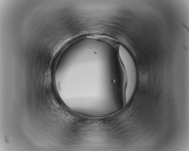 X0000099510676200806051147