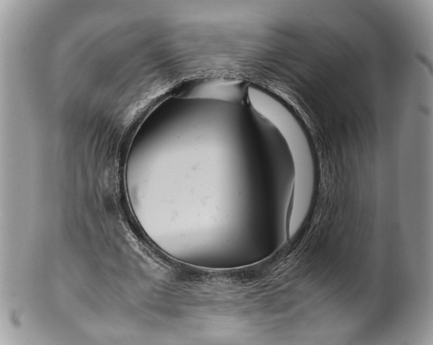 X0000099510677200806051147