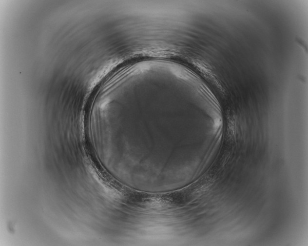 X0000099510678200806051147