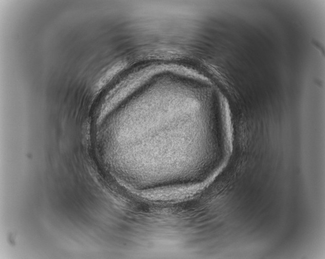 X0000099510679200806051147