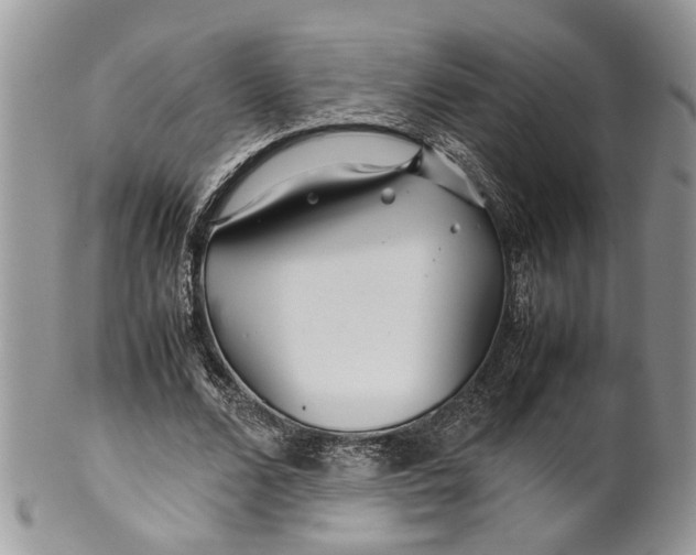 X0000099510680200806051147