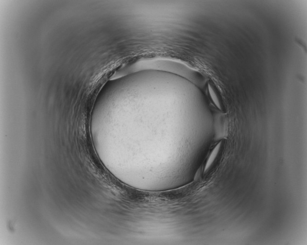 X0000099510681200806051147