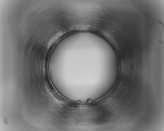 X0000099510682200806051147