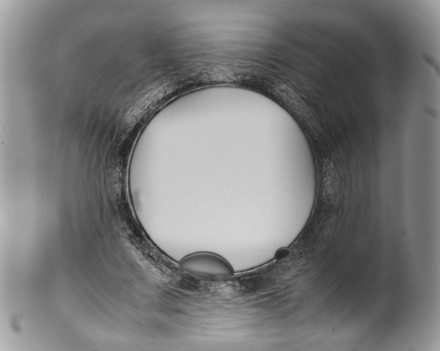 X0000099510683200806051147