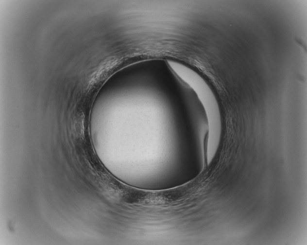 X0000099510685200806051147