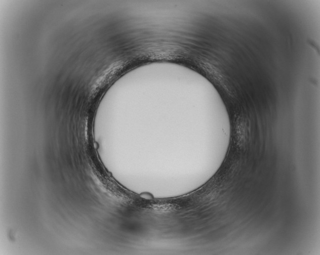 X0000099510686200806051147