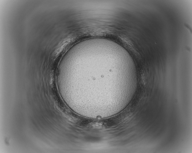 X0000099510687200806051147