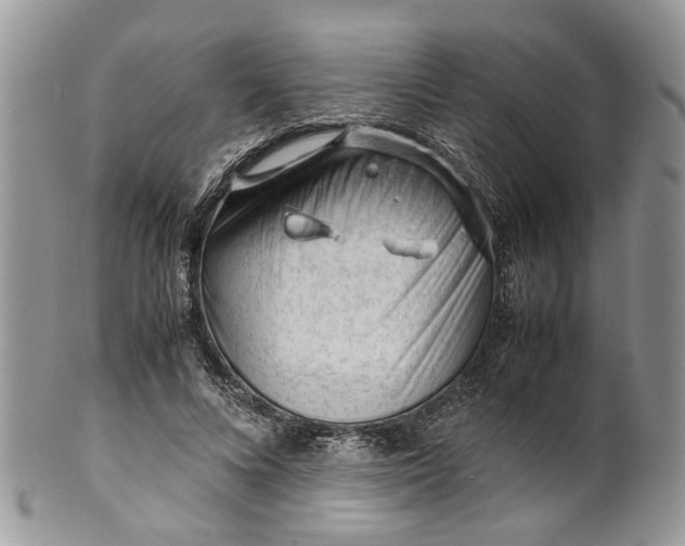 X0000099510688200806051147