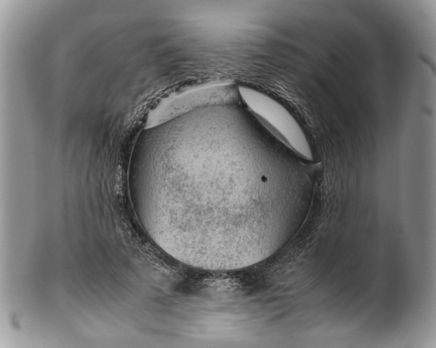 X0000099510689200806051147