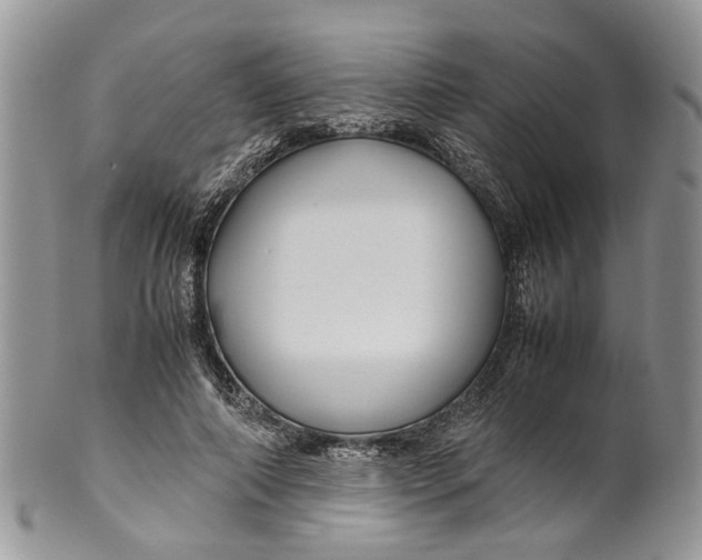 X0000099510690200806051147