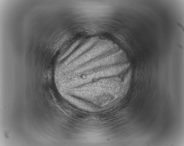 X0000099510691200806051147