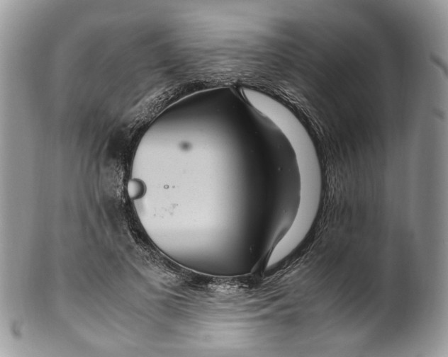 X0000099510693200806051147