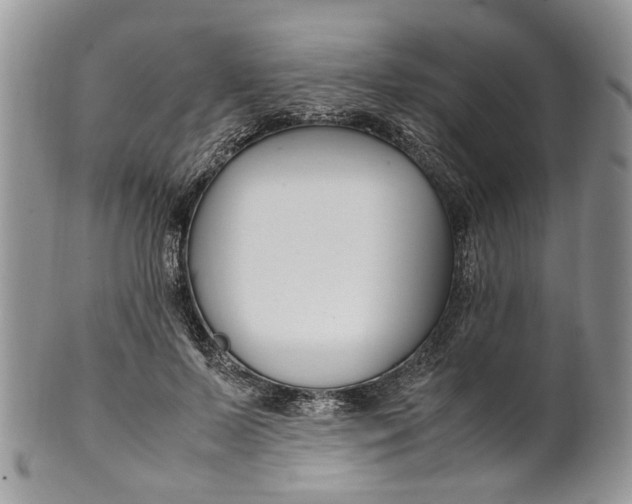 X0000099510695200806051147