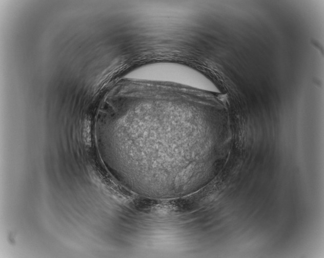 X0000099510696200806051147