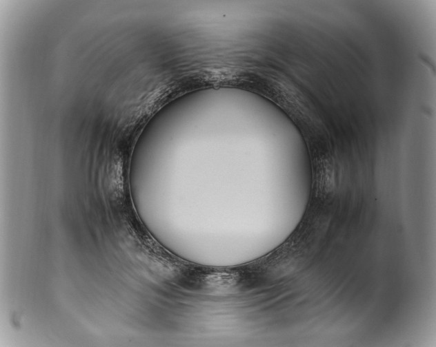 X0000099510700200806051147