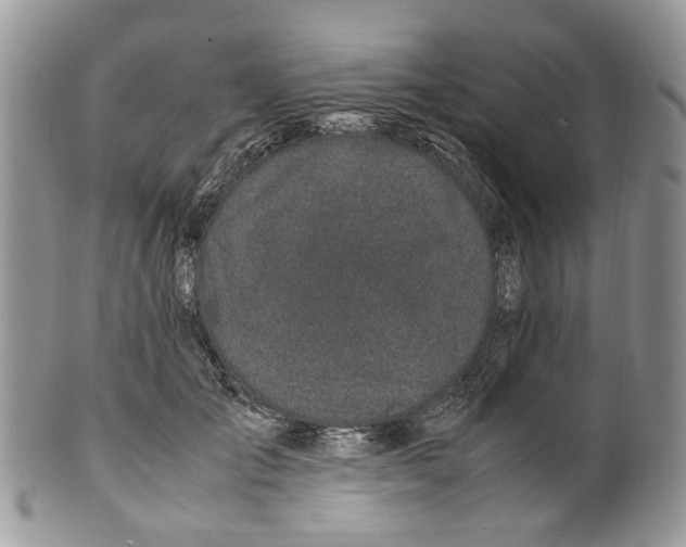 X0000099510701200806051147