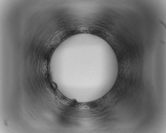 X0000099510702200806051147