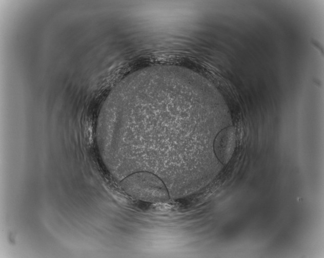 X0000099510703200806051147