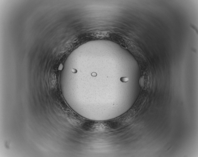 X0000099510704200806051147