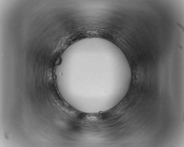 X0000099510706200806051147