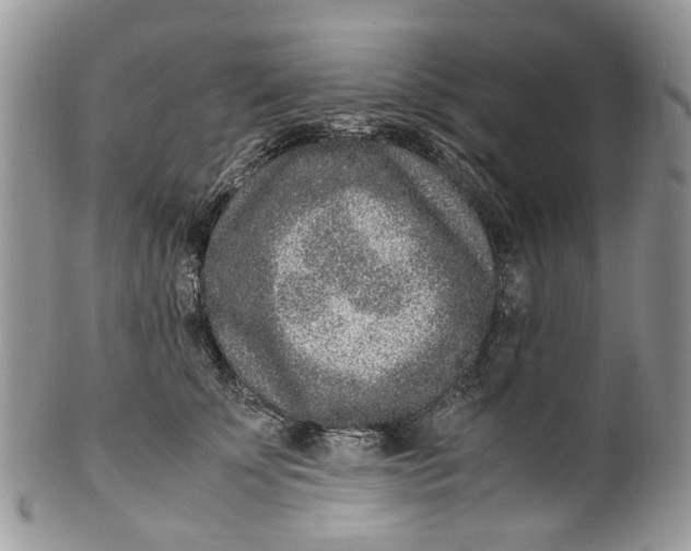 X0000099510707200806051147