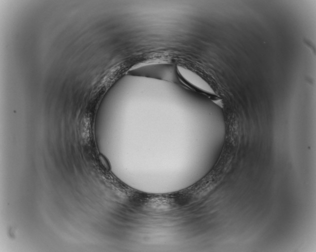 X0000099510708200806051147