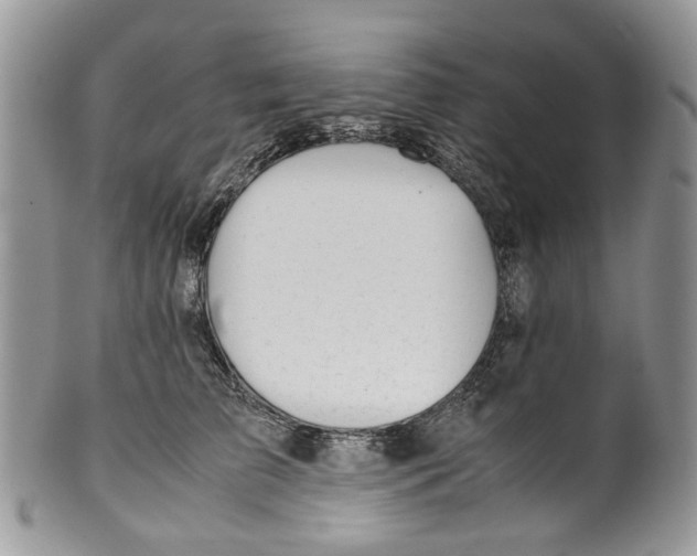 X0000099510709200806051147