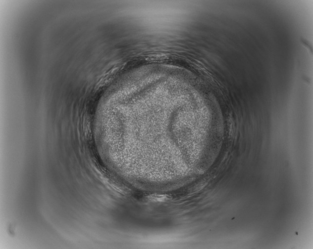 X0000099510711200806051147