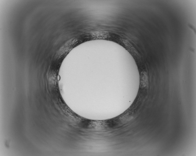 X0000099510713200806051147