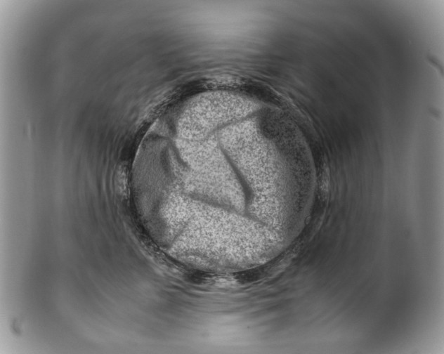 X0000099510715200806051147