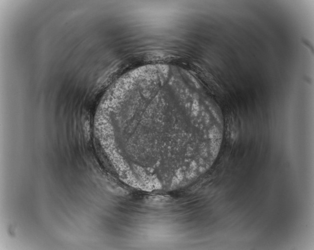 X0000099510716200806051147