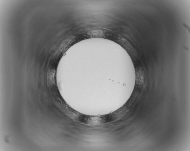 X0000099510717200806051147