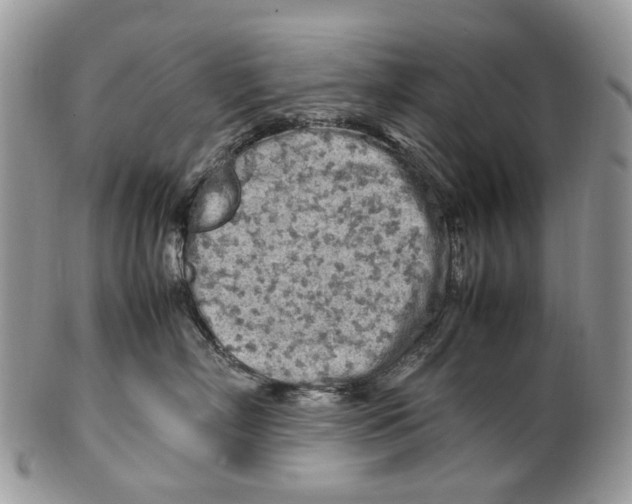 X0000099510718200806051147