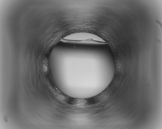 X0000099510719200806051147